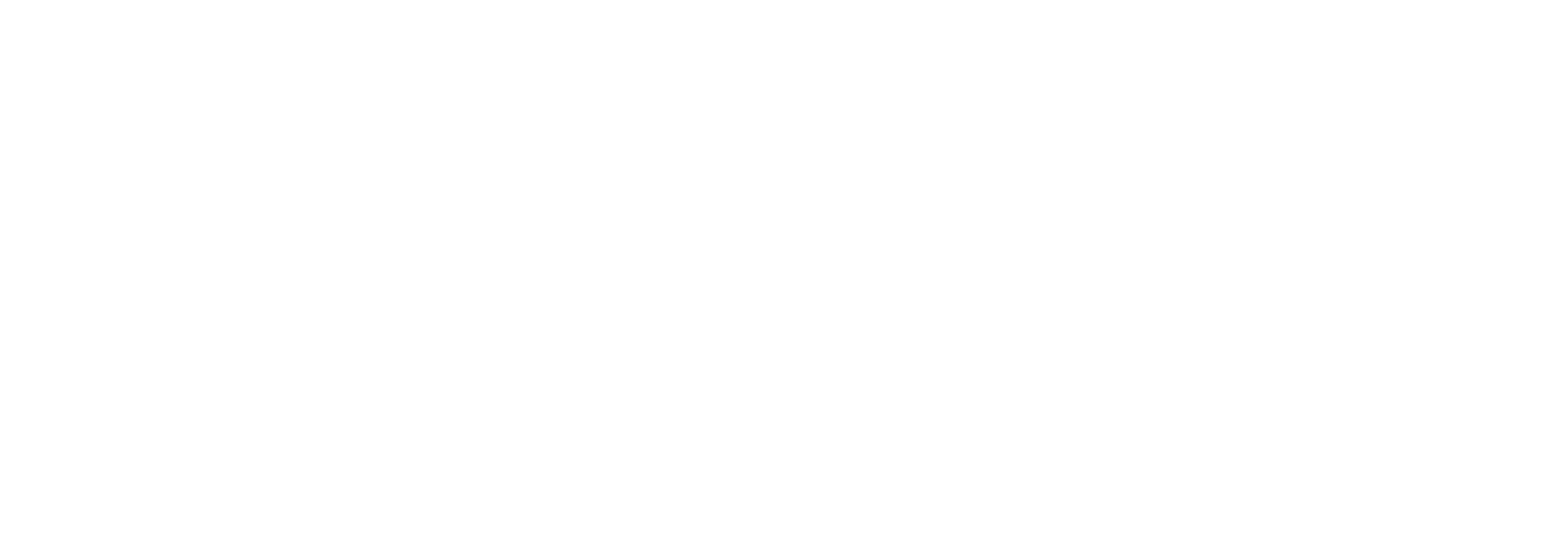 Convosoft Logo